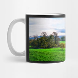 Autumn Countryside Scenery - Field & Trees Mug